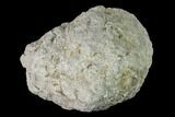 Keokuk Quartz Geode with Pyrite Crystals - Iowa #144700-1